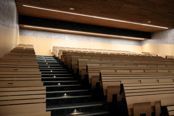 ligne lumineuse eclairage amphiteatre lycee polyvalent