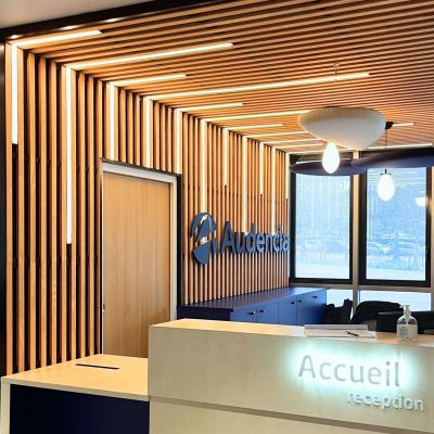 linéaires ACTiLED dans plafond bois ARDEMO