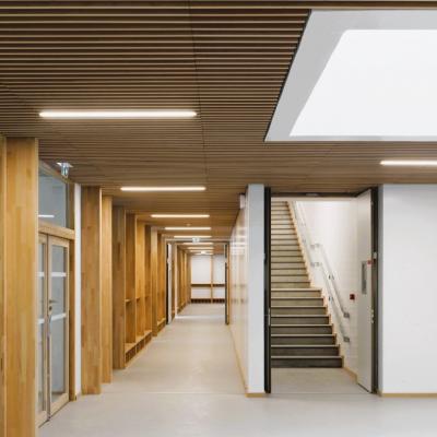 éclairage LED plafond bois école Odette Cartailhac