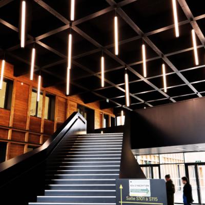tubulaires LED suspendus hall accueil lycee Savenay
