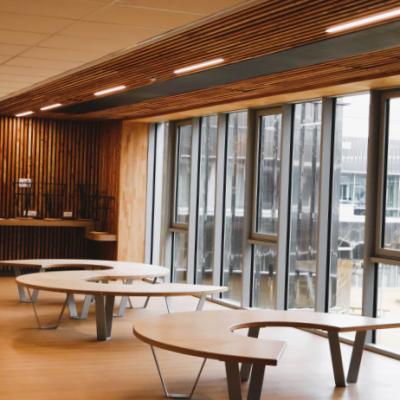 linéaires plafond bois ACTiLED Lighting circulation Lycée Alice Milliat Pontchâteau 
