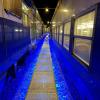 eclairage signalisation ferroviaire bleu ACTiLED